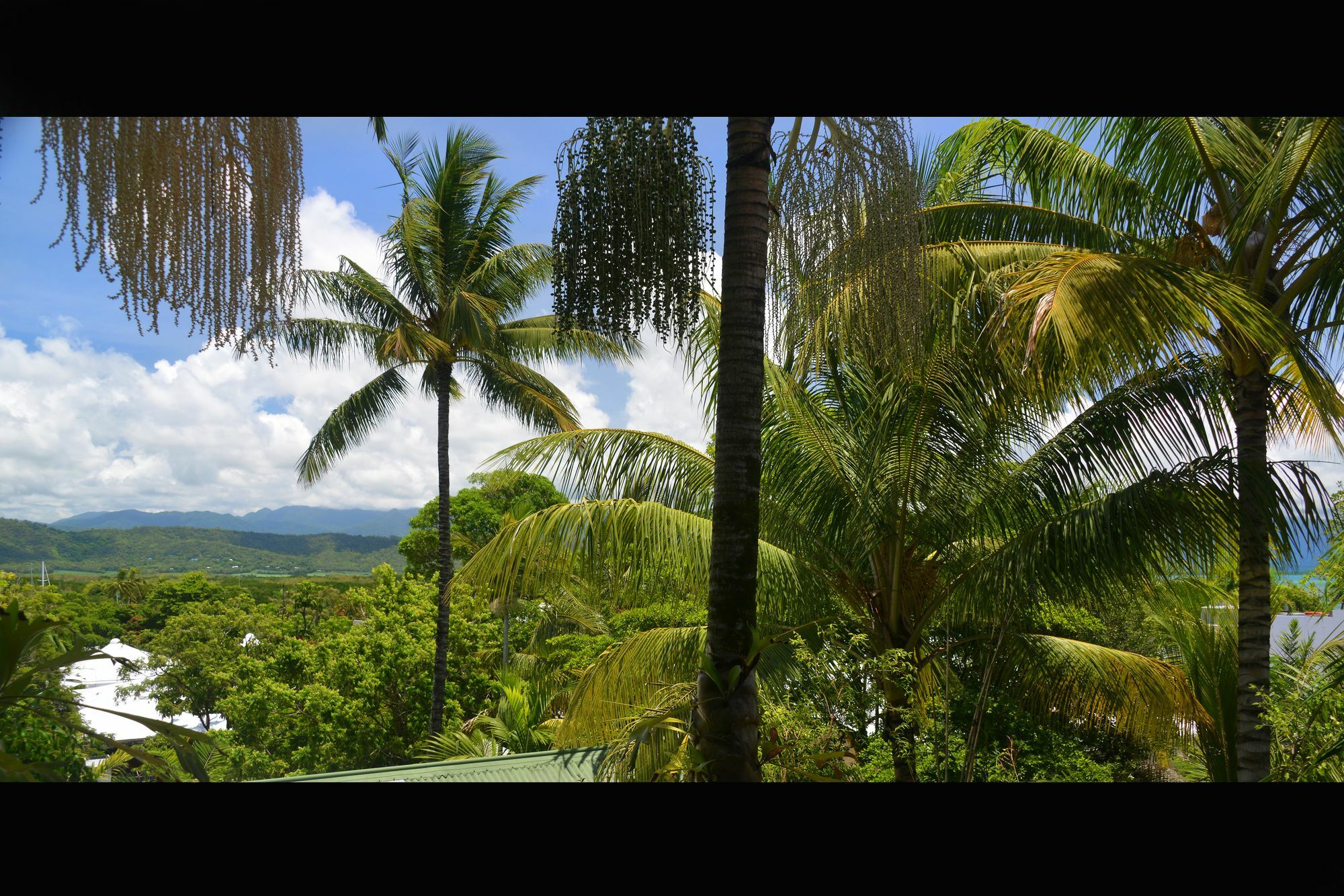 Monsoon Villa B - Luxury Holiday Villa Port Douglas Exteriör bild