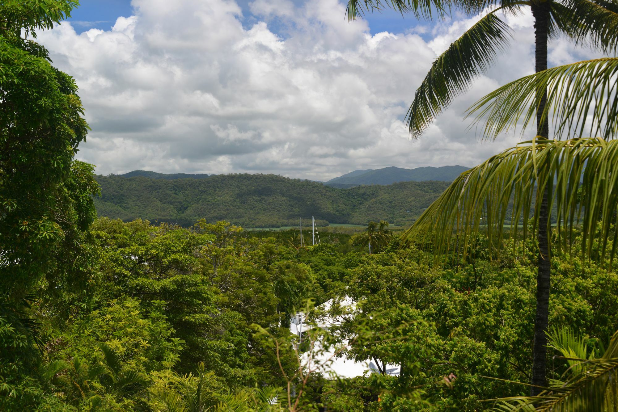 Monsoon Villa B - Luxury Holiday Villa Port Douglas Exteriör bild